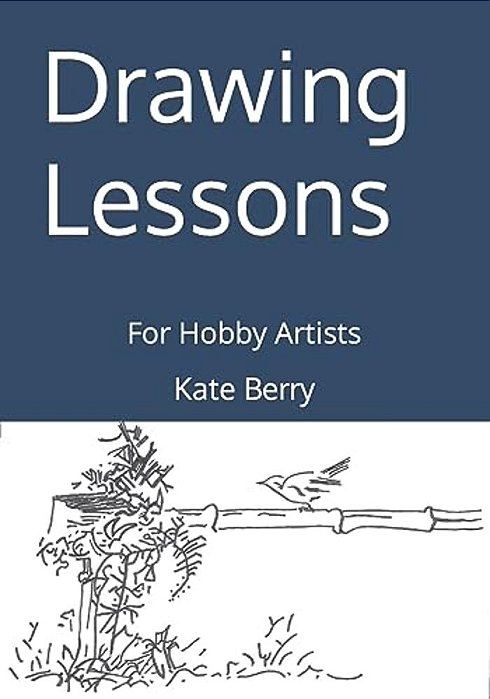 Drawing Lessons: For Hobby Artists-..