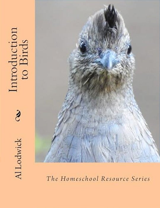 Introduction To Birds: The Homeschool Resource Series-..