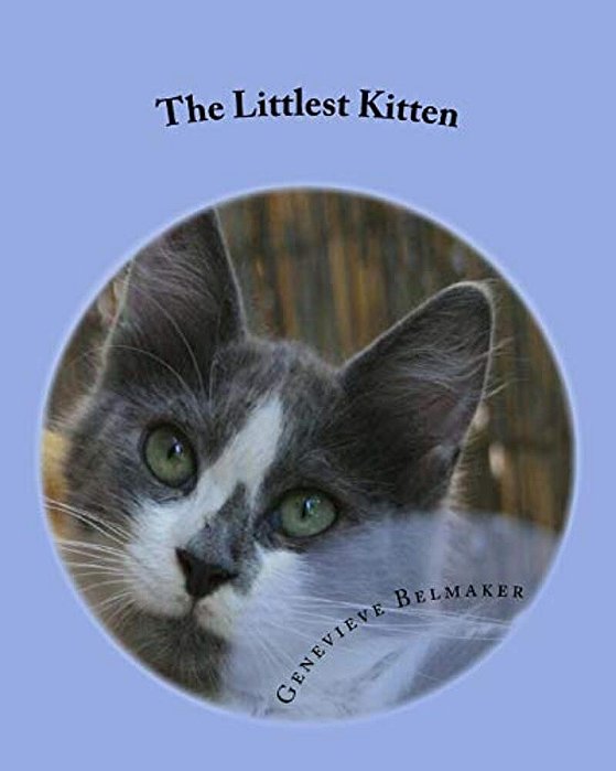 The Littlest Kitten: The True Story Of One Jerusalem Kitten's Struggle To Survive-..