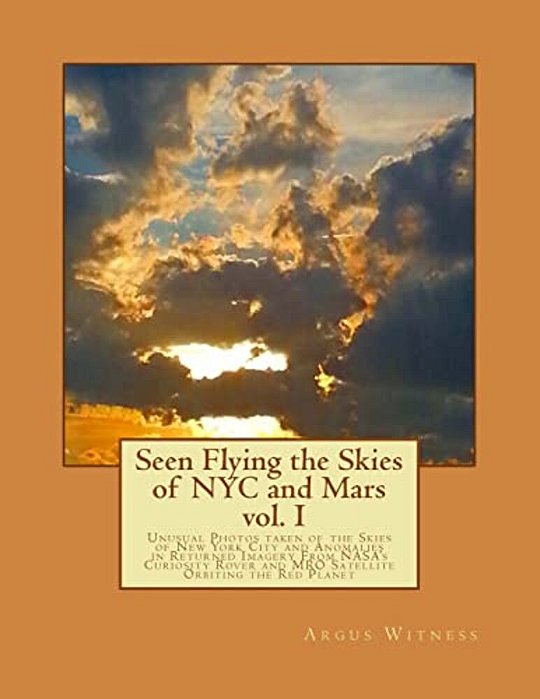 Seen Flying The Skies Of Nyc And Mars V1.0-..