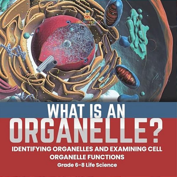 What Is An Organelle? Identifying Organelles And Examining Cell Organelle Functions Grade 6-8 Life Science-..
