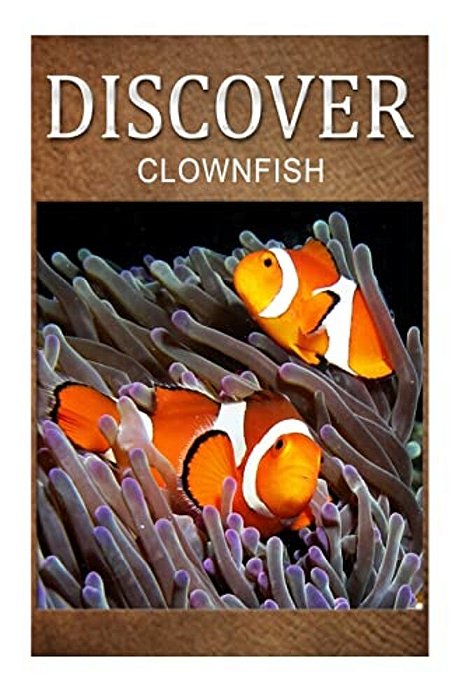 Clown Fish - Discover: Early Reader's Wildlife Photography Book-..