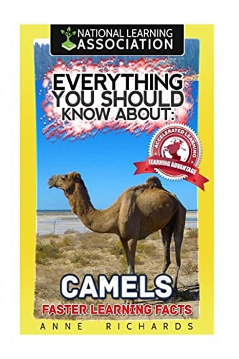 Everything You Should Know About: Camels-..