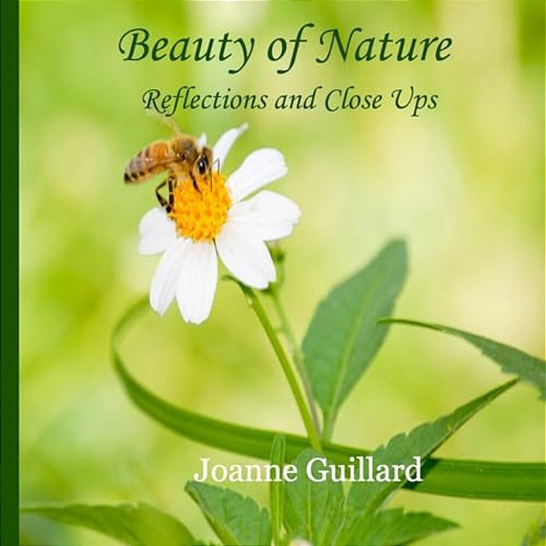 Beauty Of Nature: Reflections And Close Ups-..