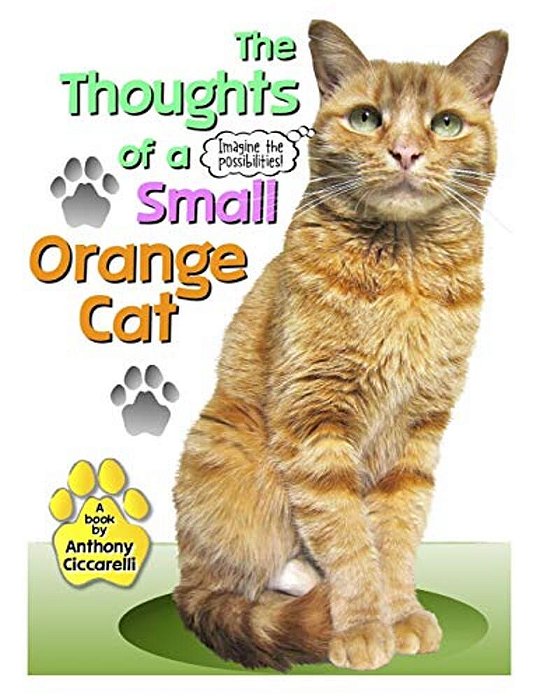 The Thoughts Of A Small Orange Cat-..