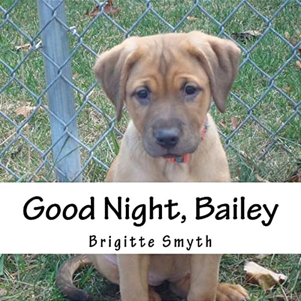 Good Night, Bailey-..