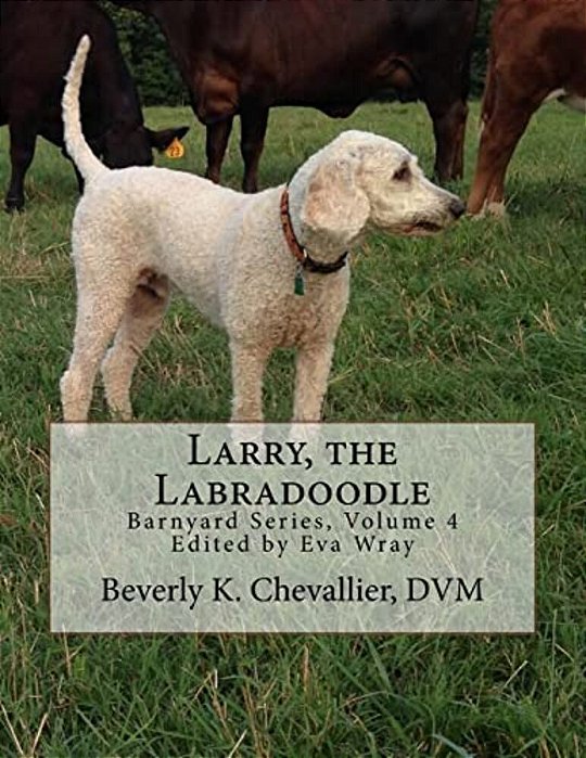 Larry, The Labradoodle-..
