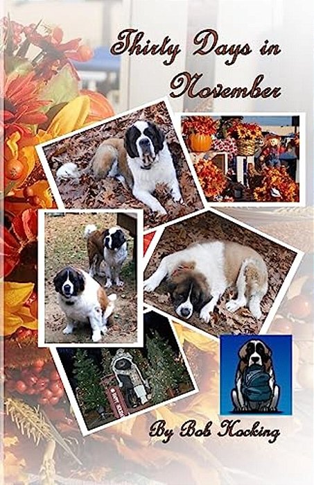 Thirty Days In November-..