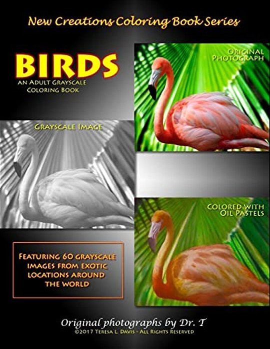 New Creations Coloring Book Series: Birds-..
