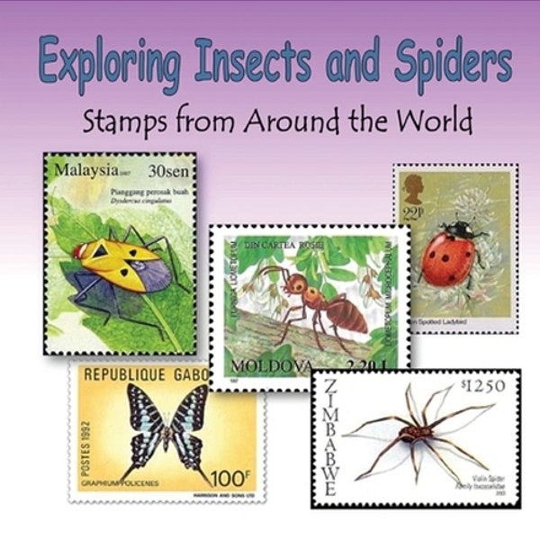 Exploring Insects And Spiders-..