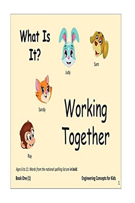 What Is It: Work Together With Sam, Judy, Ray And Sandy To Solve The Mystery In The Photograph. -..