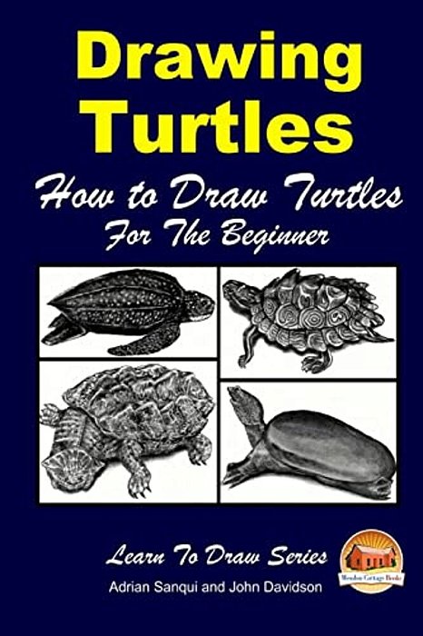 Drawing Turtles - How To Draw Turtles For The Beginner-..