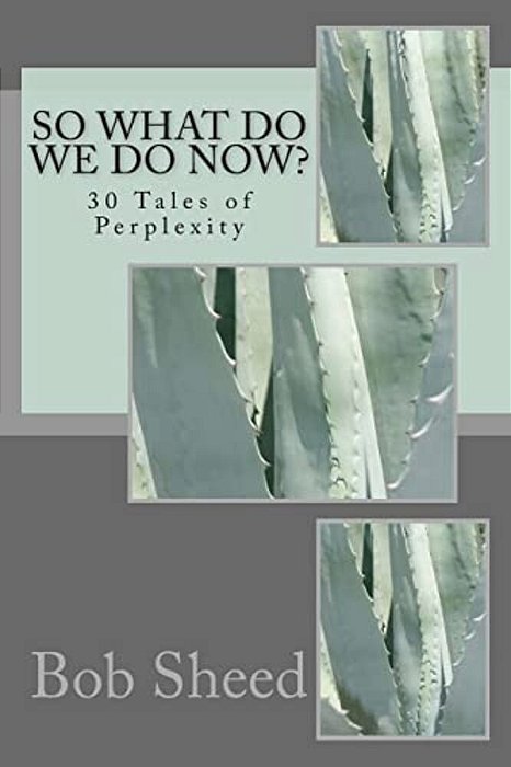 So What Do We Do Now?: 30 Tales Of Perplexity-..
