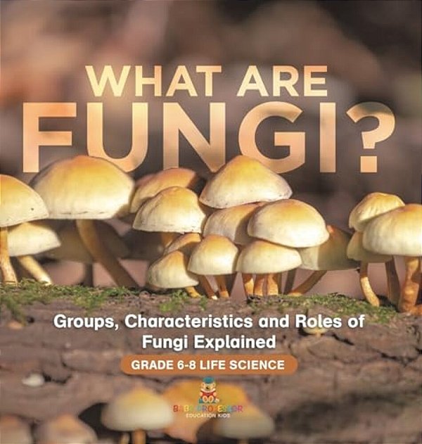 What Are Fungi? Groups, Characteristics And Roles Of Fungi Explained Grade 6-8 Life Science-..