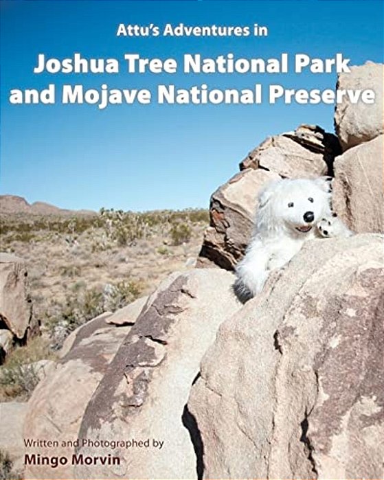 Attu's Adventures In Joshua Tree National Park And Mojave National Preserve-..