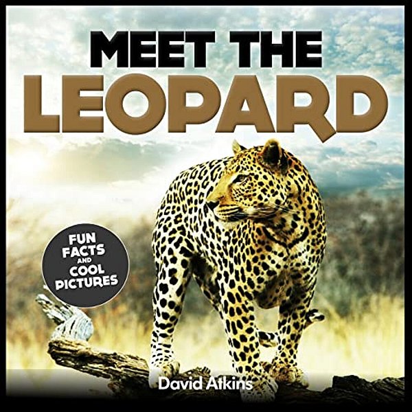 Meet The Leopard: Fun Facts & Cool Pictures-..