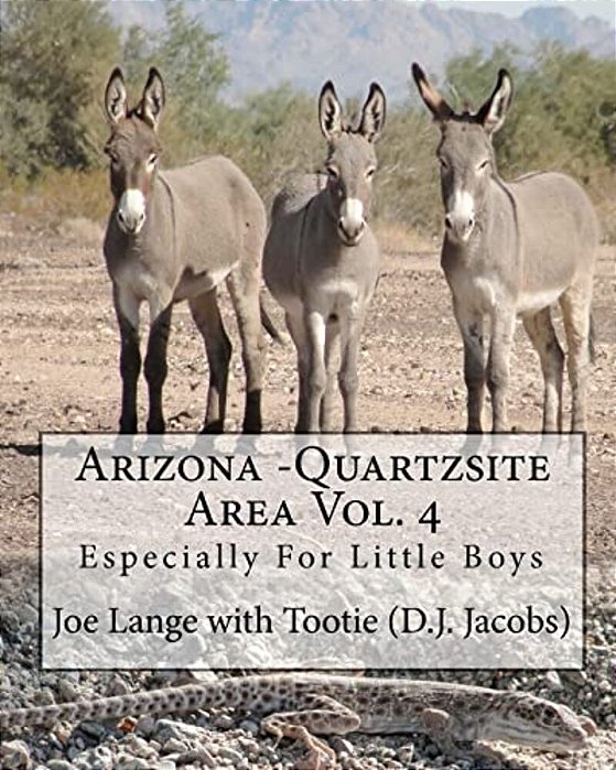 Arizona - Quartzsite Area Vol. 4: Especially For Little Boys-..