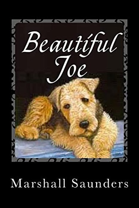Beautiful Joe-..