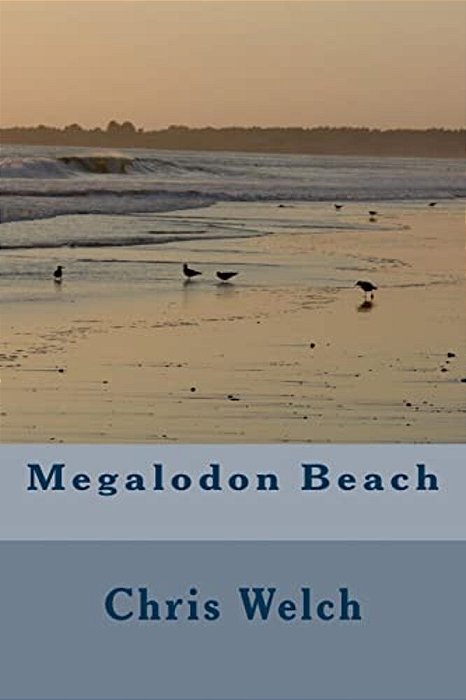 Megalodon Beach-..
