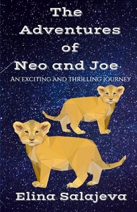 The Adventures Of Neo And Joe. -..