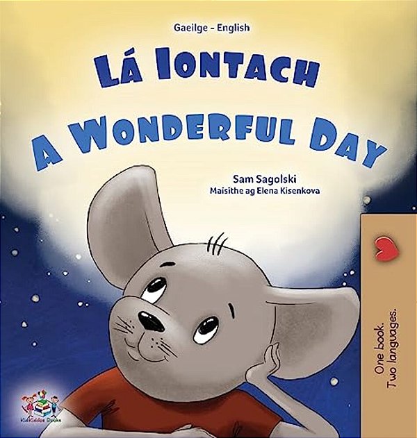 A Wonderful Day (Irish English Bilingual Book For Kids)-..