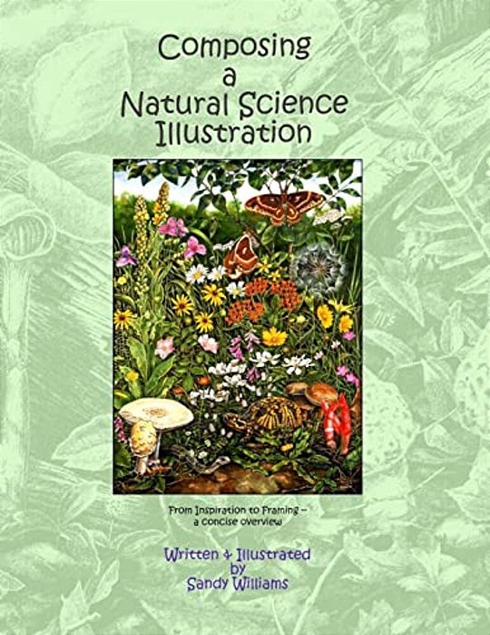 Composing A Natural Science Illustration: From Inspiration To Framing-..