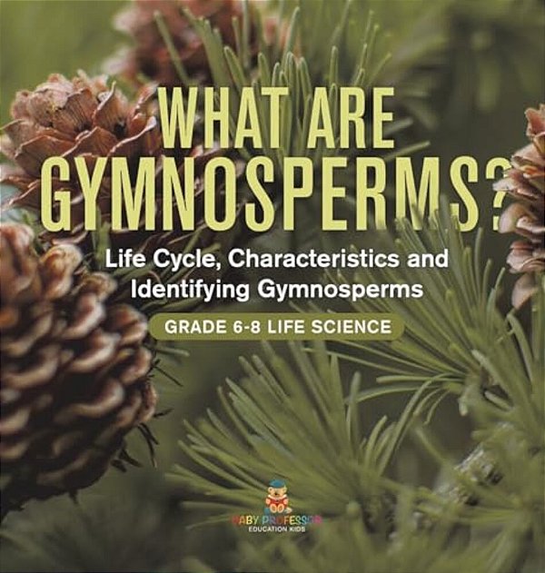 What Are Gymnosperms? Life Cycle, Characteristics And Identifying Gymnosperms Grade 6-8 Life Science-..