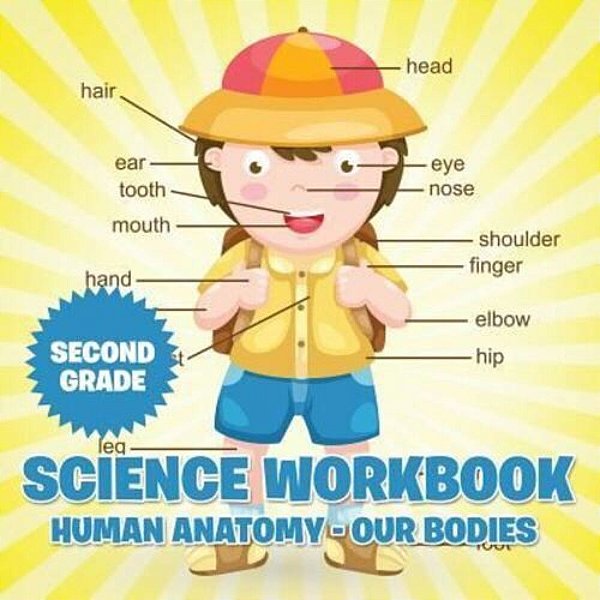 Second Grade Science Workbook: Human Anatomy - Our Bodies-..