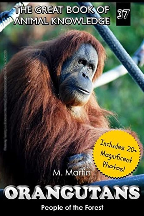 Orangutans: People Of The Forest-..