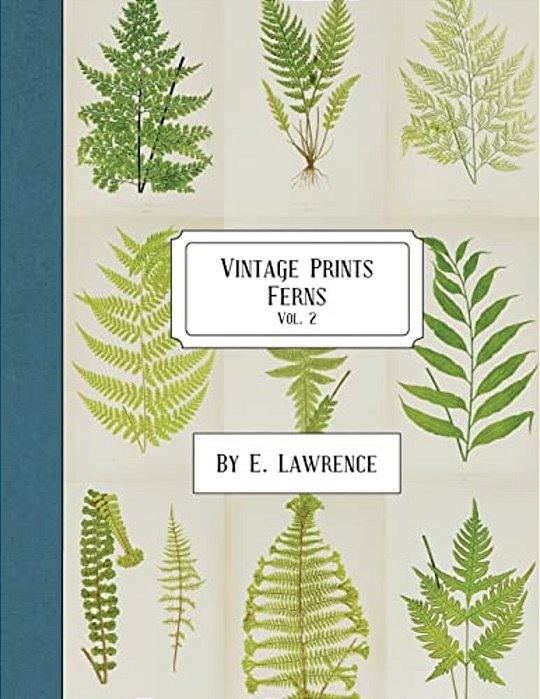 Vintage Prints: Ferns: Vol. 2-..