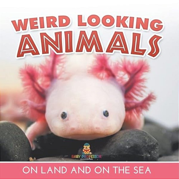 Weird Looking Animals On Land And On The Sea-..