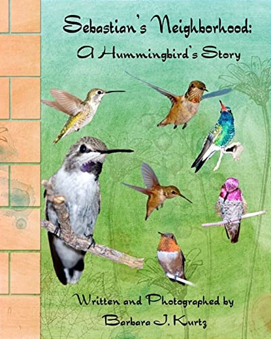 Sebastian's Neighborhood: A Hummingbird's Story-..