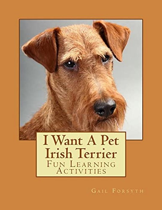 I Want A Pet Irish Terrier: Fun Learning Activities-..