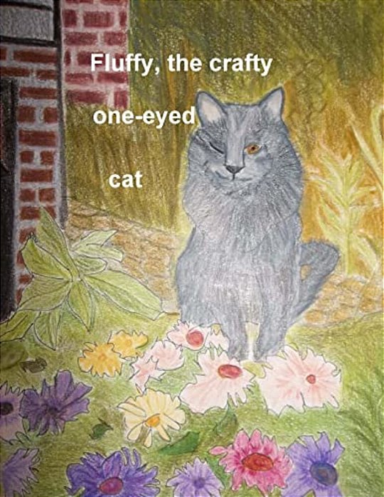 Fluffy, The One Eyed Cat!-..
