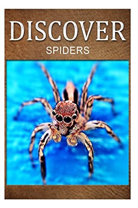 Spiders - Discover: Early Reader's Wildlife Photography Book-..