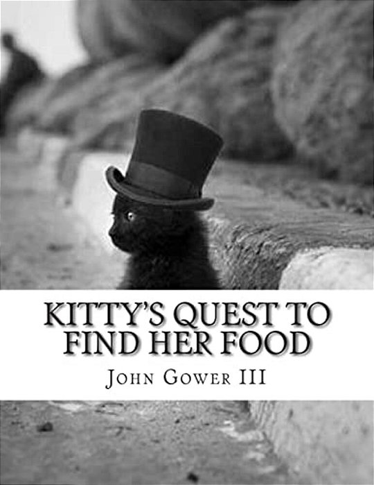 Kitty's Quest To Find Her Food-..
