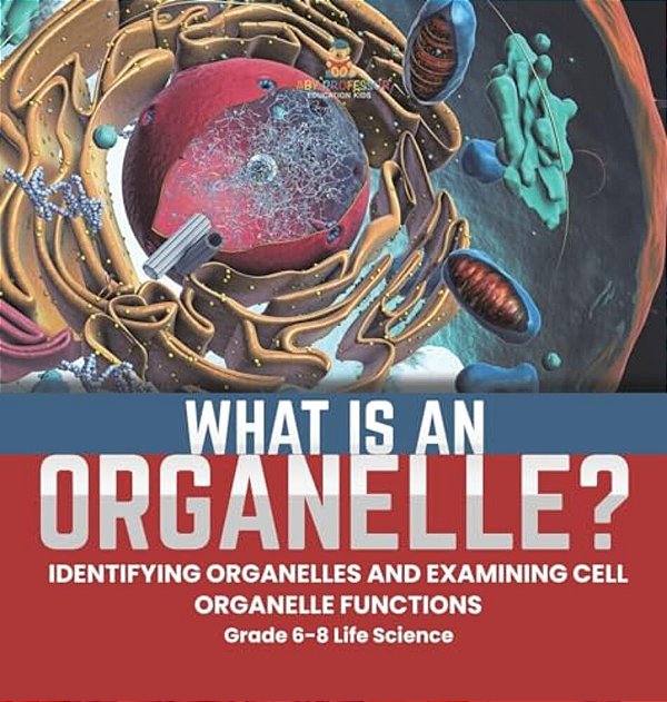 What Is An Organelle? Identifying Organelles And Examining Cell Organelle Functions Grade 6-8 Life Science-..