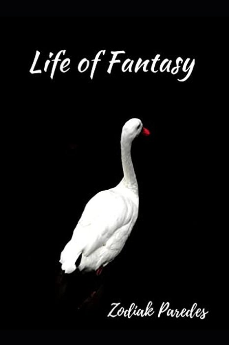 Life Of Fantasy-..