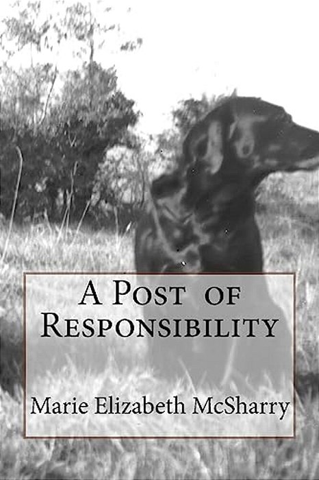 A Post Of Responsibility-..