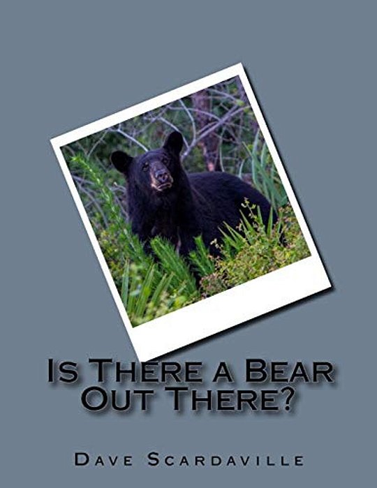 Is There A Bear Out There?-..