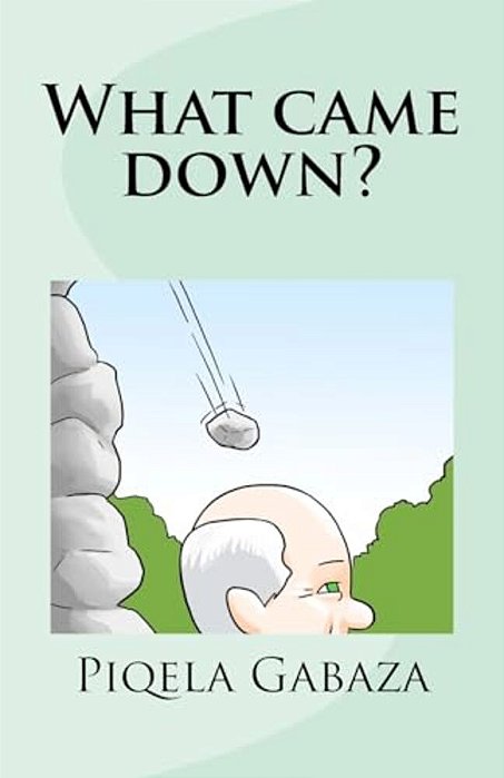 What Came Down?-..