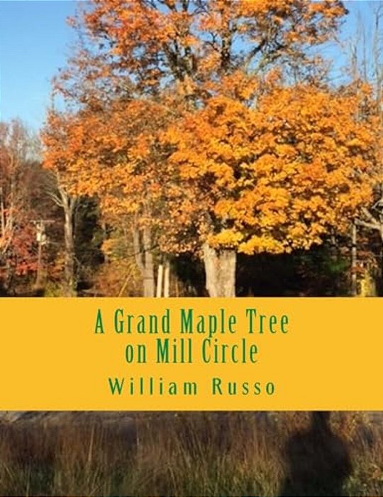 A Grand Maple Tree On Mill Circle-..