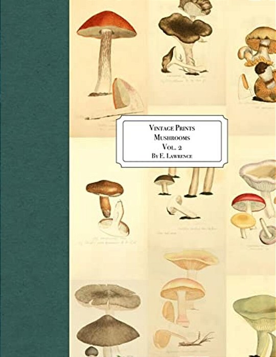 Vintage Prints: Mushrooms: Vol. 2-..