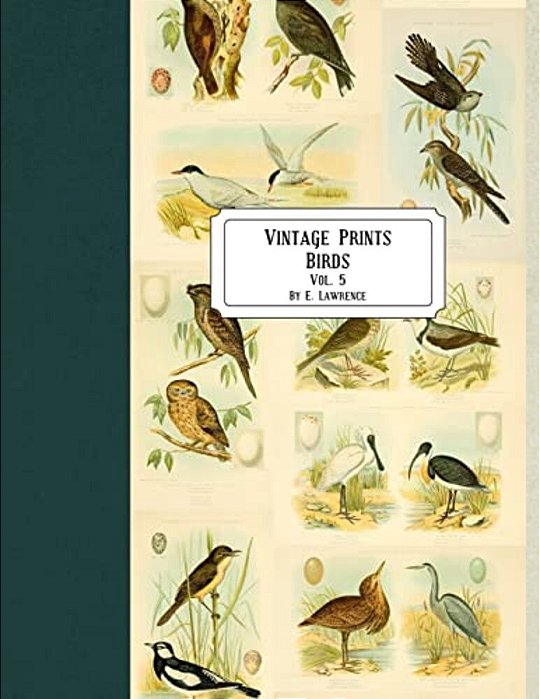 Vintage Prints: Birds: Vol. 5-..