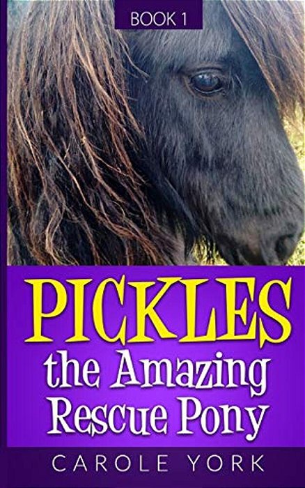 Pickles The Amazing Rescue Pony-..
