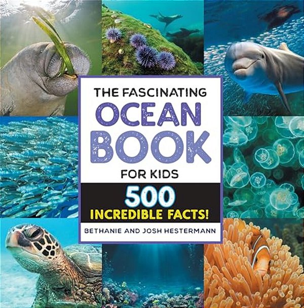 The Fascinating Ocean Book For Kids: 500 Incredible Facts!-..