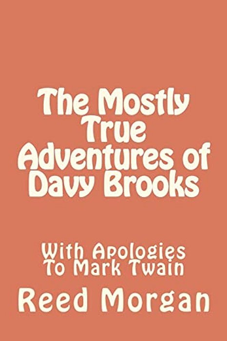 The Mostly True Adventures Of Davy Brooks-..