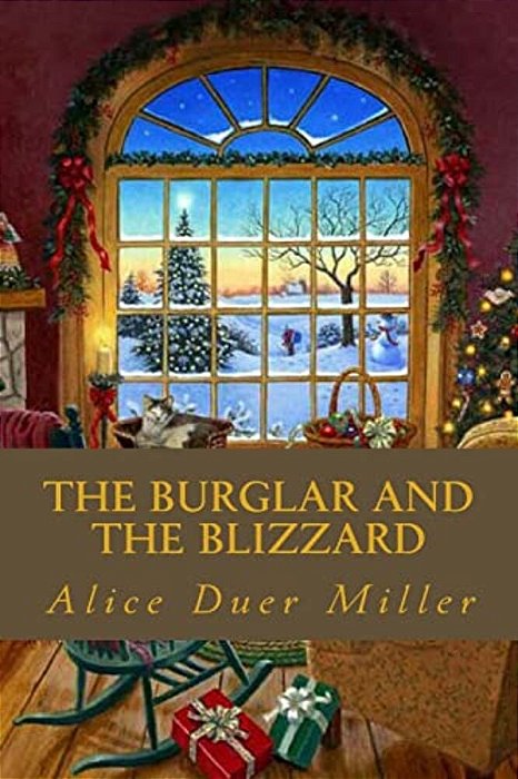 The Burglar And The Blizzard-..
