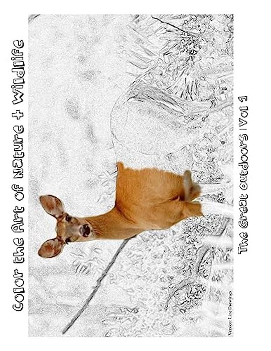 The Great Outdoors [Line Drawings]: Color The Art Of Nature + Wildlife-..