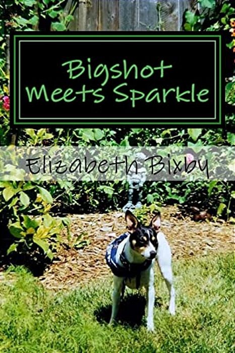Bigshot Meets Sparkle-..